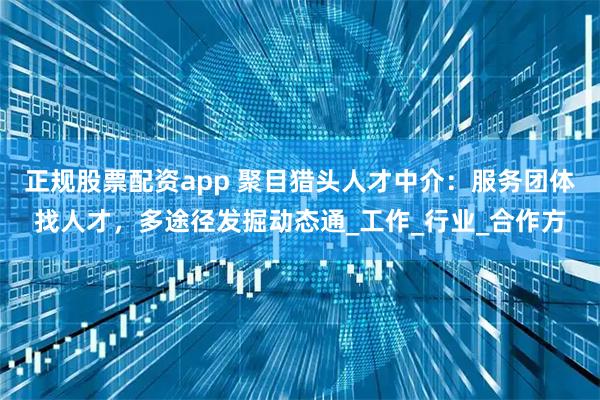 正规股票配资app 聚目猎头人才中介：服务团体找人才，多途径发掘动态通_工作_行业_合作方