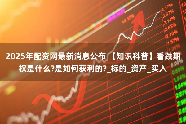 2025年配资网最新消息公布 【知识科普】看跌期权是什么?是如何获利的?_标的_资产_买入