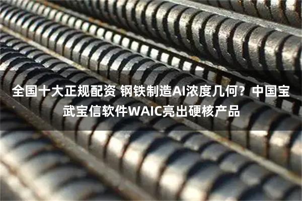 全国十大正规配资 钢铁制造AI浓度几何？中国宝武宝信软件WAIC亮出硬核产品