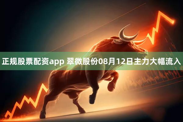正规股票配资app 翠微股份08月12日主力大幅流入